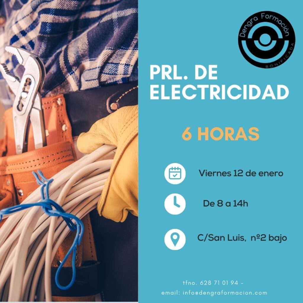 PRL. de Electricidad